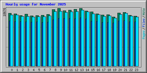 Hourly usage for November 2025