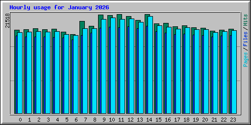 Hourly usage for January 2026