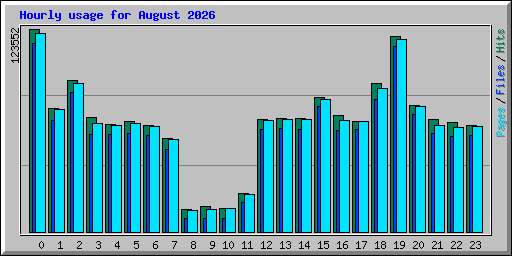 Hourly usage for August 2026