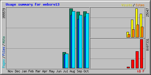 Usage summary for websrv13